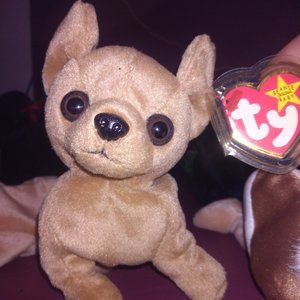 Tini beanie baby collectable